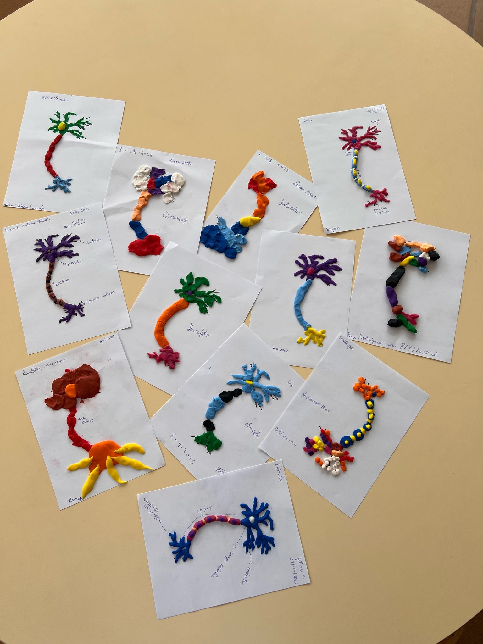 SciComm hands-on activities in Madeira!